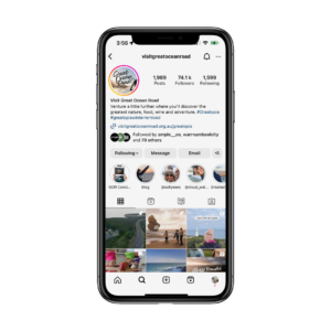 Social Media Content (organic)