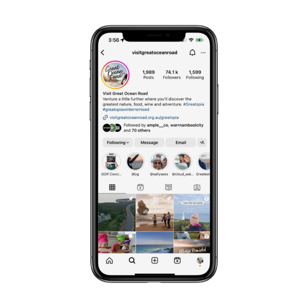 Social Media Content (organic)