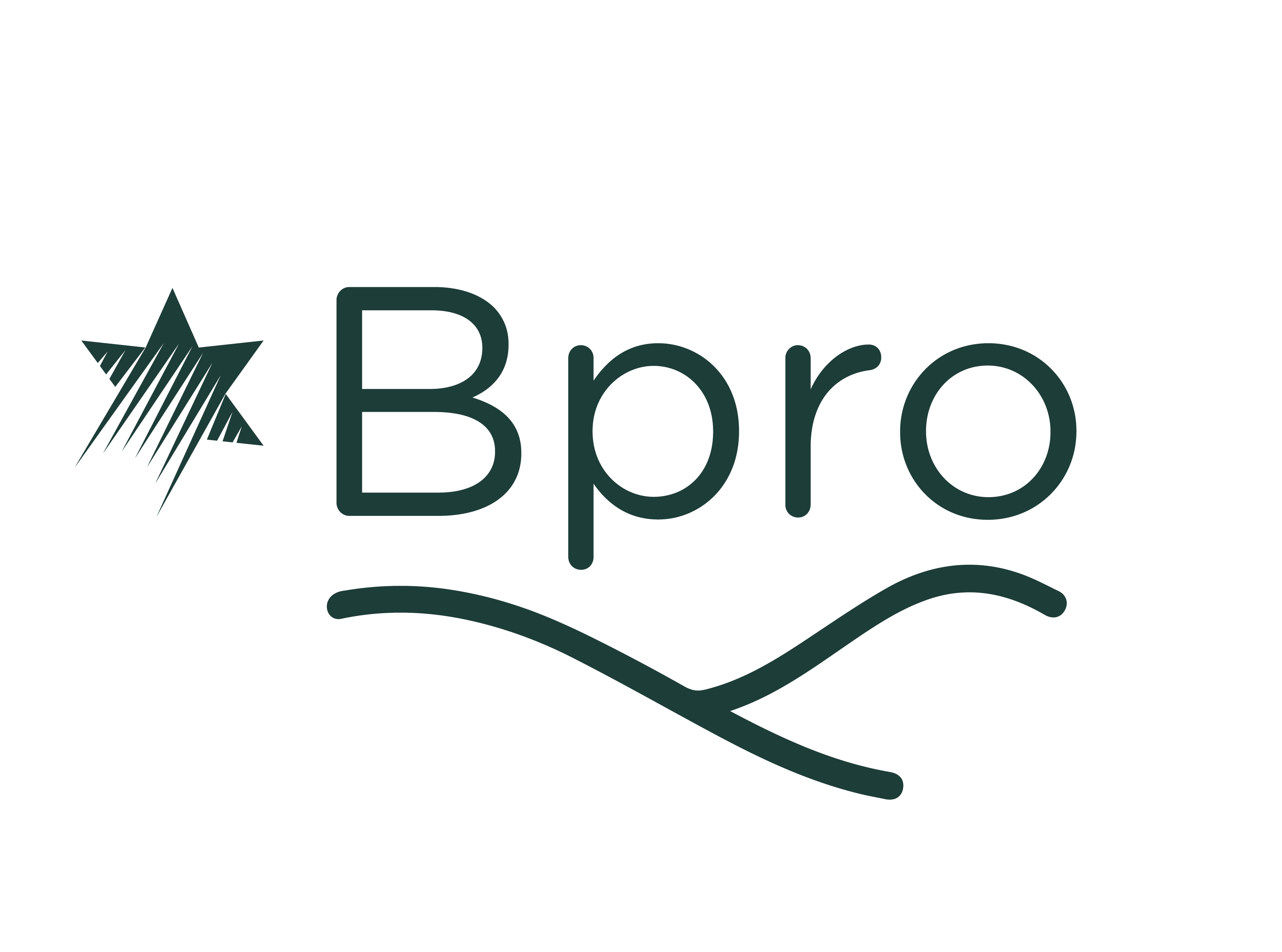 Bpro_LOGO_V3-01